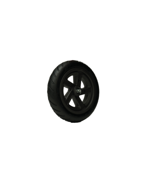Rear Wheel Assembly - E22