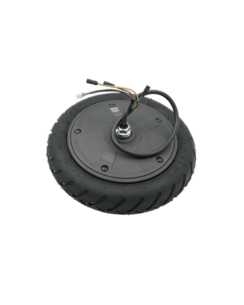 Hub Motor Assembly - E22