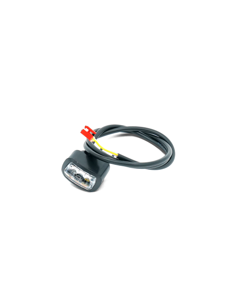 Turn Signal (Right Rear) - P65/P100S