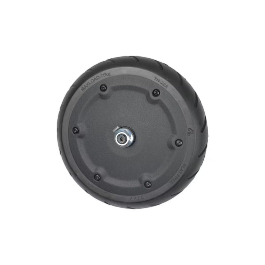 Wheel Hub Motor Assembly - E2