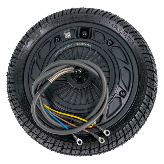 Wheel Hub Motor Assembly - P65