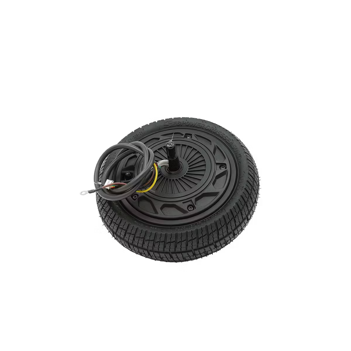Wheel Hub Motor Assembly - P100S