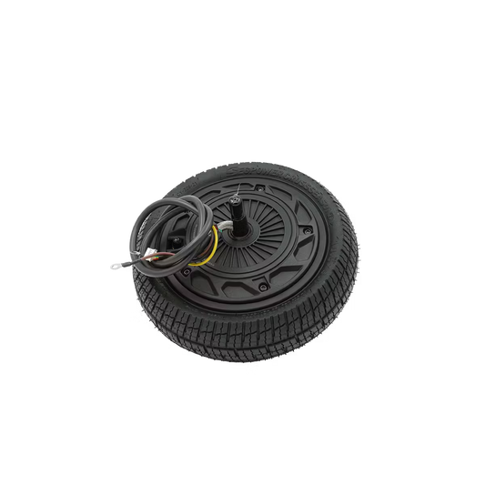 Wheel Hub Motor Assembly - P100S