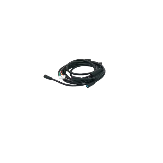 Light Wire Bundle - GT1/GT2