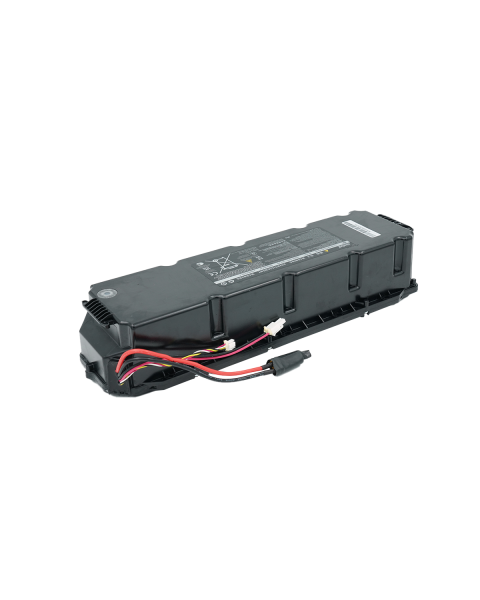 Battery Assembly - MAX G30LP  (PN:AB.00.0015.72)  [AA0101]