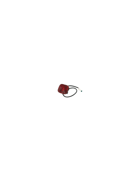 Taillight Assembly - MAX G2  (PN:AB.05.15.00.0032)  [AA0107]