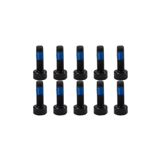 Hexagon socket head screws with black zinc plated - G30P/G30LP/MAX G2